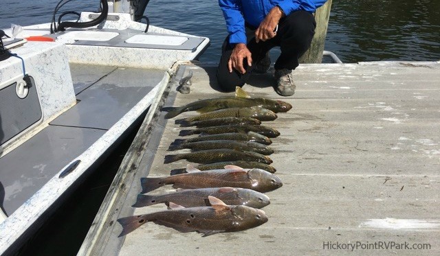 Florida Fishing near Hickory Point RV Park - Fish